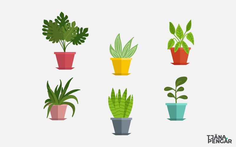 Hur kan man tjäna pengar på växter?