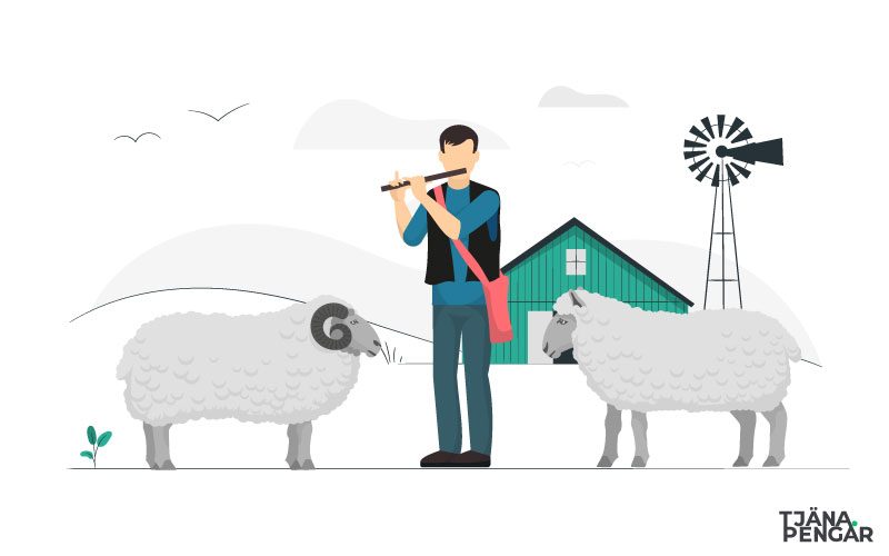 Hur kan man tjäna pengar på får?