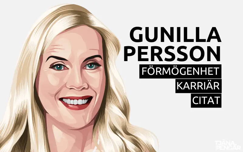 Gunilla Perssons Förmögenhet, Karriär och Citat